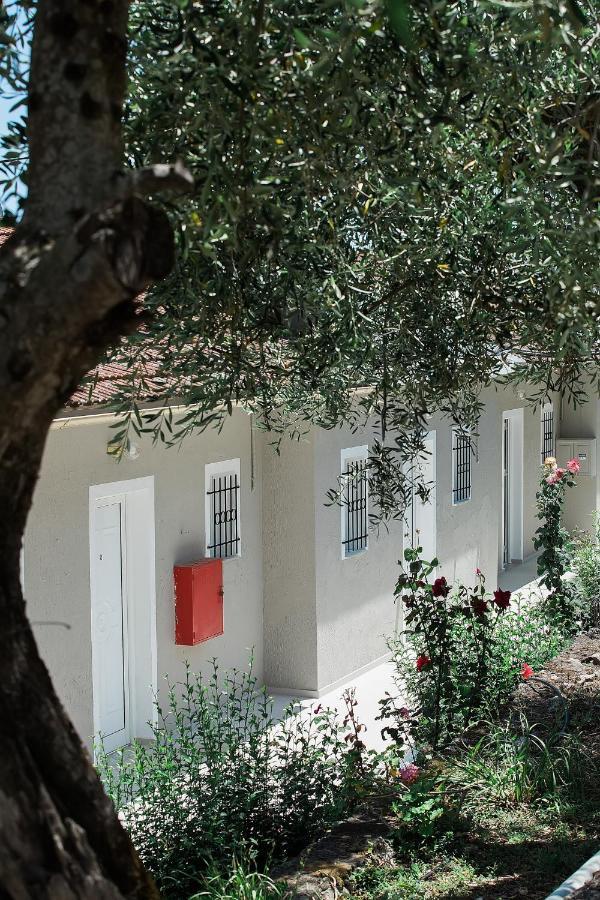 Olive Grove Poolside Apartments Benícesz Kültér fotó